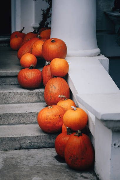 istock Autumn holiday pumpkin arrangement 1588582941