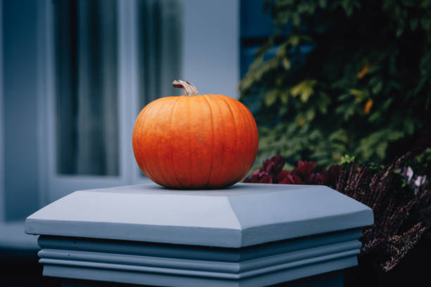 istock Autumn holiday pumpkin arrangement 1588585652