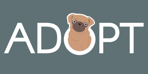 istock Adopt a pet logo design. Cute dog and slogan. Modern simple illustration. 1588588227