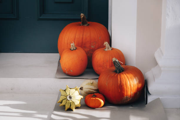 istock Autumn holiday pumpkin arrangement 1588588874