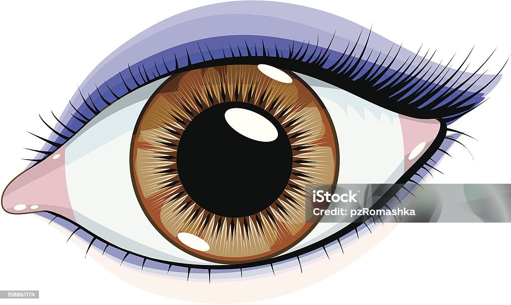 female brown eye female brown eye with make-up in violet tones Beautiful People stock vector