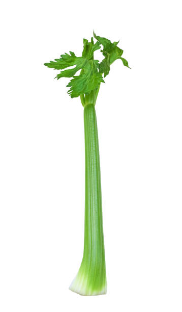 Green celery stick isolated cutout