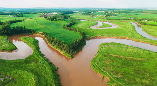 istock Aerial View of Tidal River 1588623881