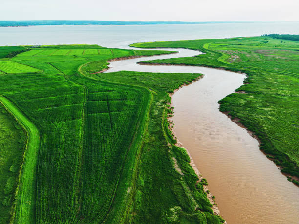 istock Aerial View of Tidal River 1588623885