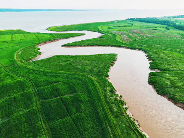 istock Aerial View of Tidal River 1588623905