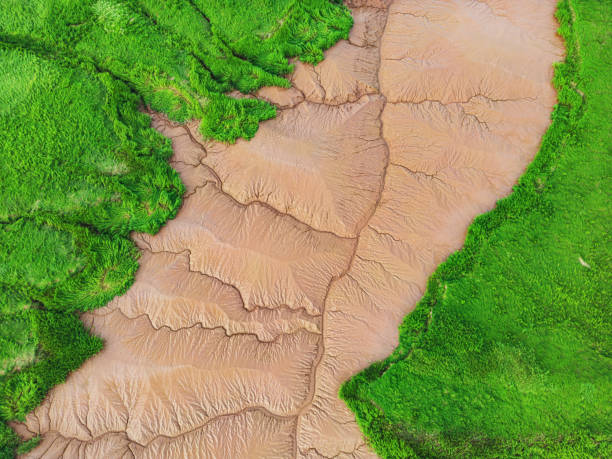 istock Aerial View of Tidal River 1588623932