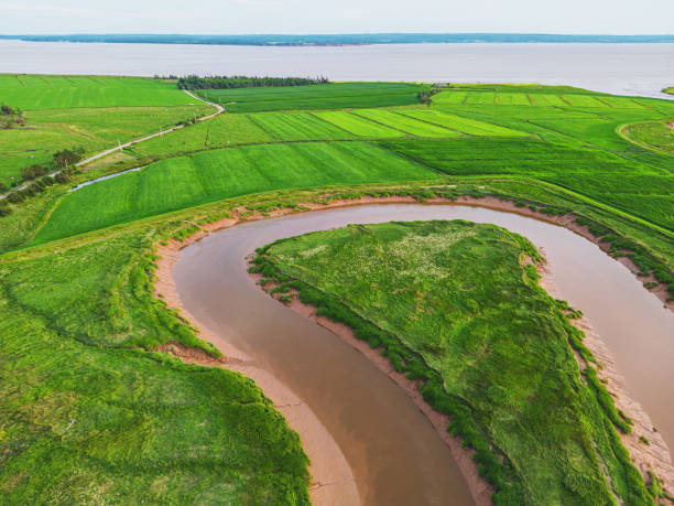 istock Aerial View of Tidal River 1588624087