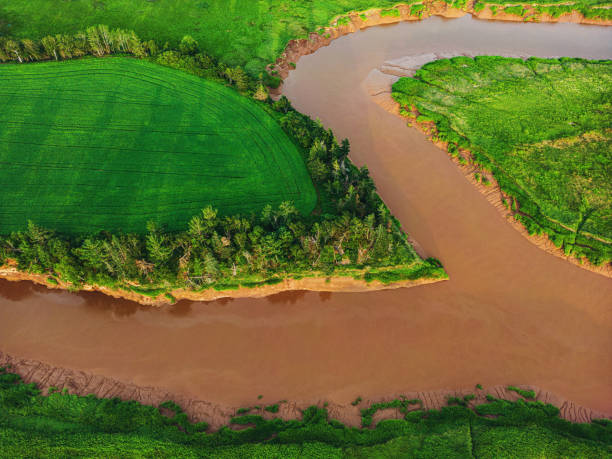 istock Aerial View of Tidal River 1588624101