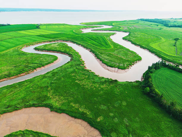 istock Aerial View of Tidal River 1588624102