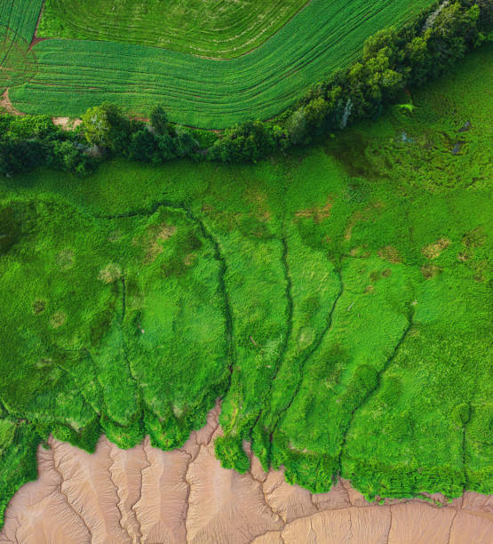 istock Aerial View of Tidal River 1588624152