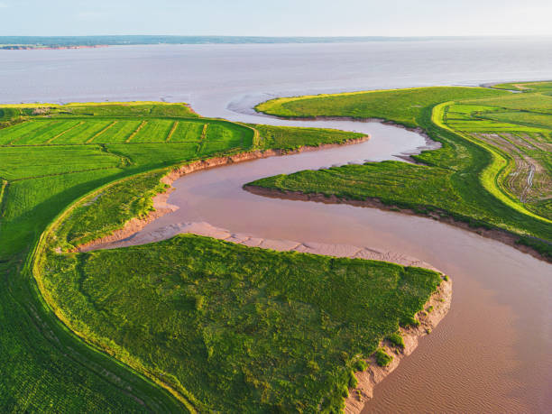 istock Aerial View of Tidal River 1588624176