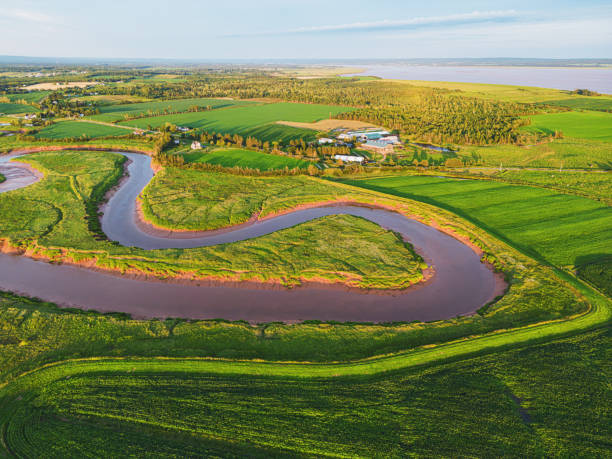 istock Aerial View of Tidal River 1588624699