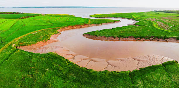 istock Aerial View of Tidal River 1588624840