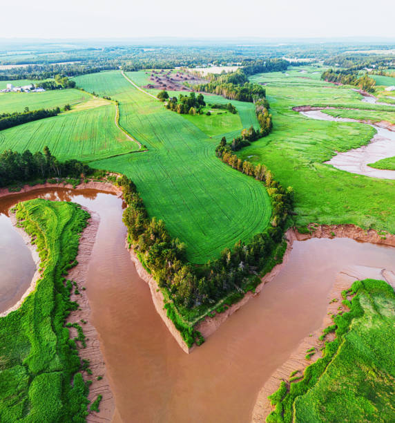 istock Aerial View of Tidal River 1588625222