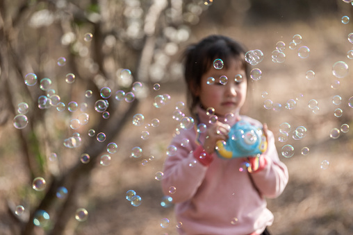 An Asian girl playing with toys in the plum grove
