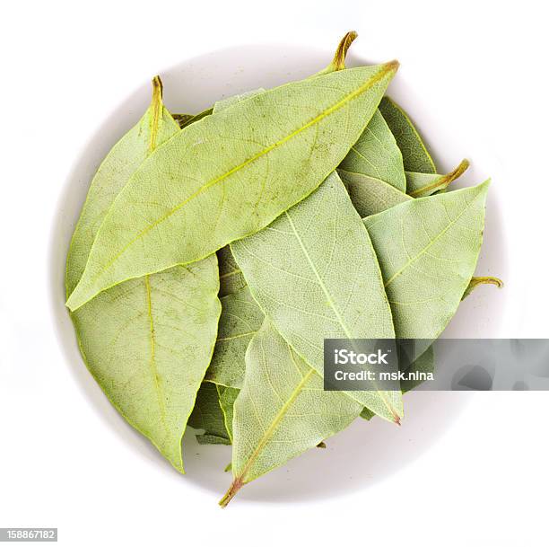 Foglie Di Alloro - Fotografie stock e altre immagini di Albero di alloro - Albero di alloro, Alimenti secchi, Alloro