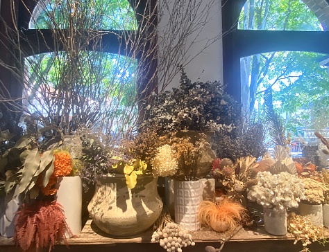Horizontal still life of soft neutral colour friend plants and flower arrangements in ceramic vases on wood bench under light filled arched windows in rural country Bangalow Australia
