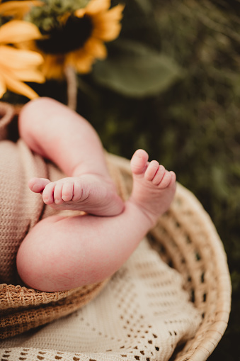 Newborn baby toes with sunflowers