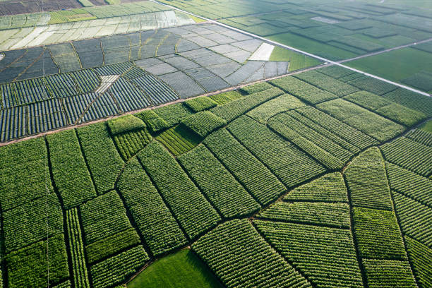 istock Farmland and fields in Yunnan, China. 1588720066