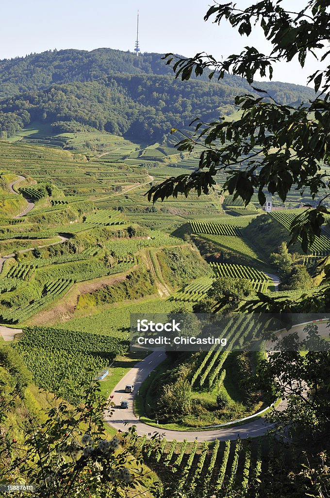 Kaiserstuhl, Alemanha - Royalty-free Agricultura Foto de stock