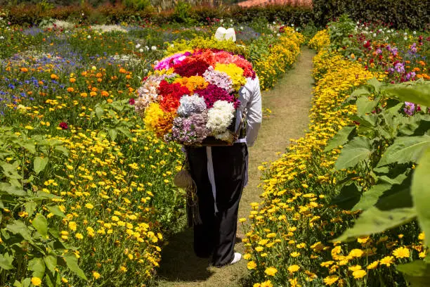 Photo of Silleteros parade, flower fair in the city of Medellin - Colombia