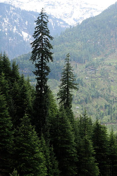 Telephoto image of Himalayan landscape.