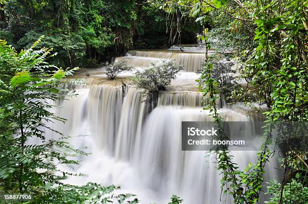 열대 우림 워터풀 태국 Huai Mae Khamin에 대한 스톡 사진 및 기타 이미지 - Huai Mae Khamin, 깐짜나부리 주, 나무