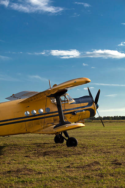 istock Vintage airplane on an airfield 158882253