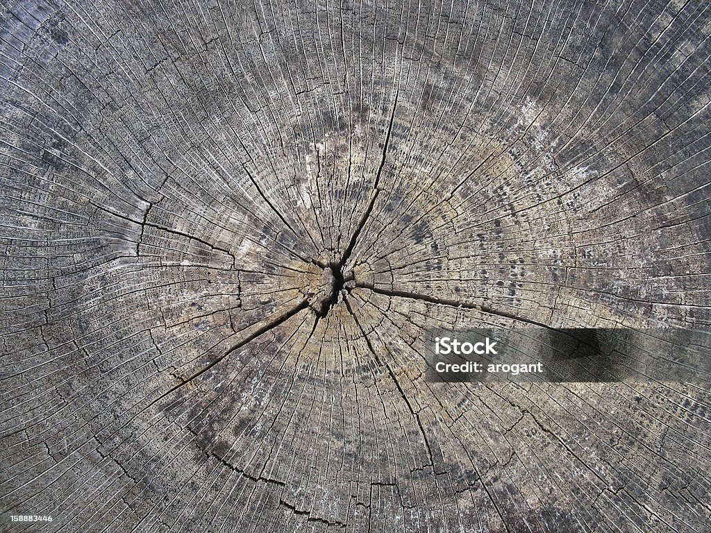 Старый Треснувший Пень деревянные текстуры - Стоковые фото Абстрактный роялти-фри