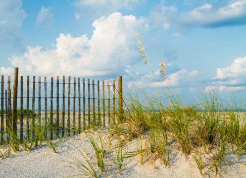 A sand dune with sea grass along a sand fence on the beach.