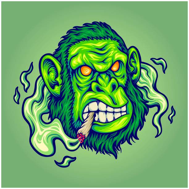 Beast angry gorilla smoking weed Beast angry gorilla smoking weed vector illustrations for your work logo, merchandise t-shirt, stickers and label designs, poster, greeting cards advertising business company or brands blunts stock illustrations