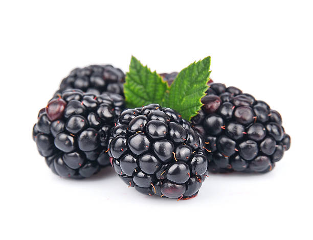 istock Sweet  blackberry fruit 158885743