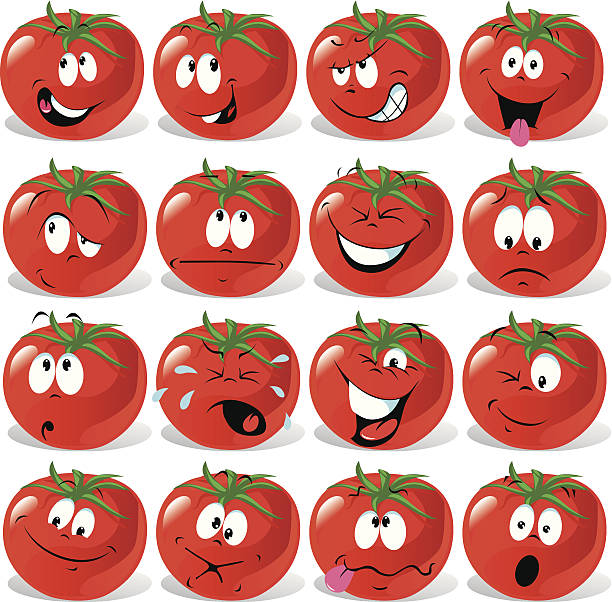 cartoon tomato with many expressions vector art illustration