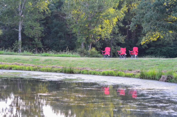 Camping Chairs by a Farm Pond