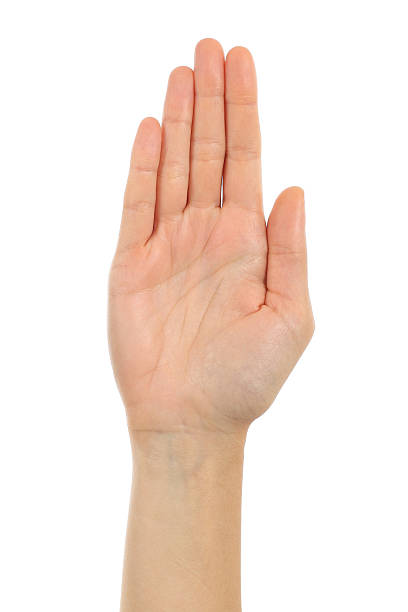 istock Woman palm hand in front 158894578