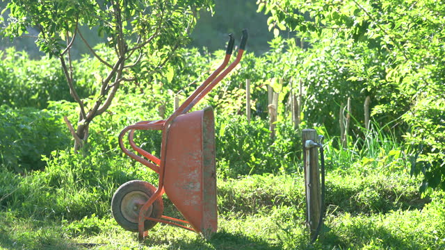 4k video of wheelbarrow in the garden
