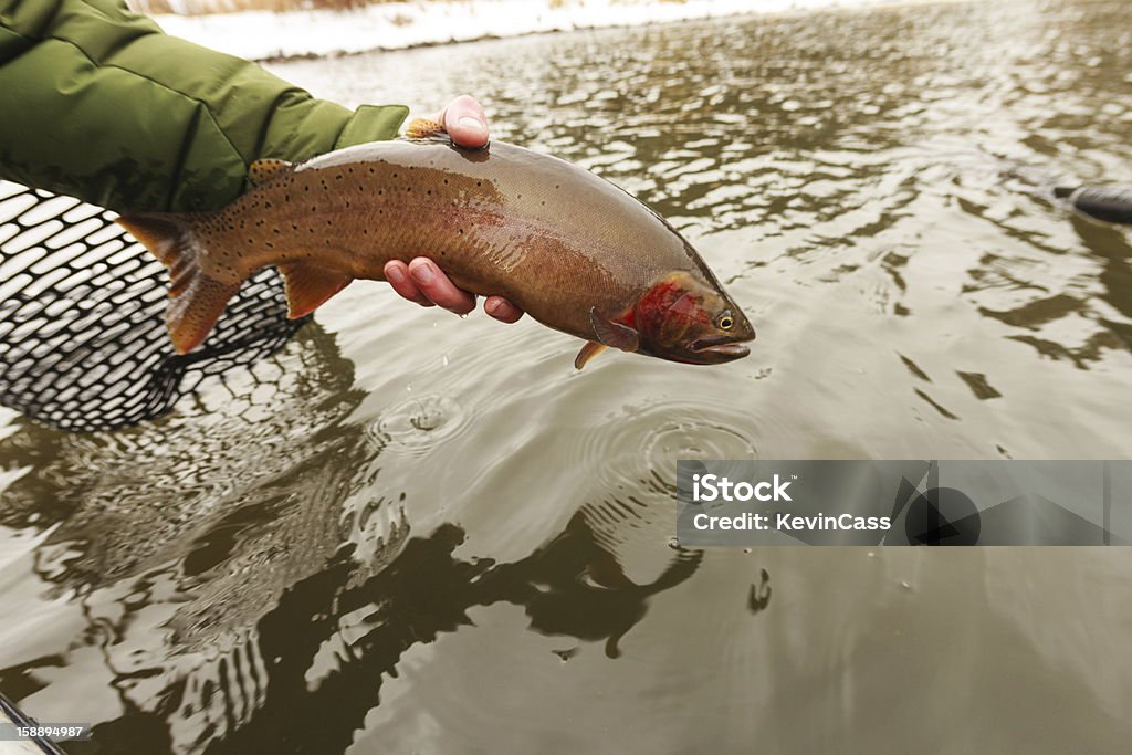 Zurück zu Henrys Lake - Lizenzfrei Idaho Stock-Foto