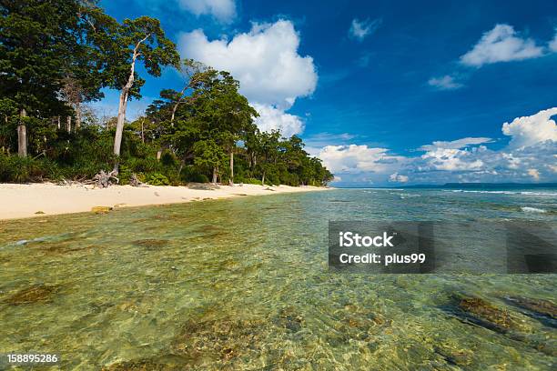 Raso Crystal Clear Água Selvagem Praia Umas - Fotografias de stock e mais imagens de Ao Ar Livre - Ao Ar Livre, Areia, Bebida Fresca