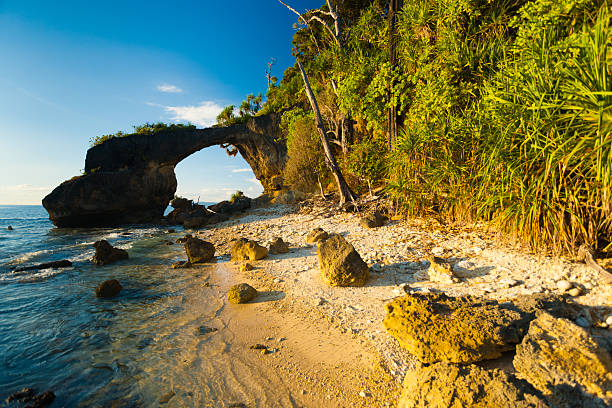 istock Natural Bridge Landmark Beach High Tide Bushes 158895646