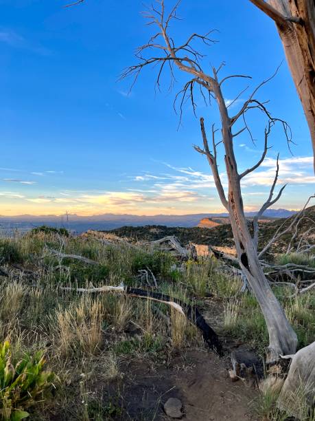 istock Beautiful Scenery at Mesa Verde National Park, Colorado 1588971955