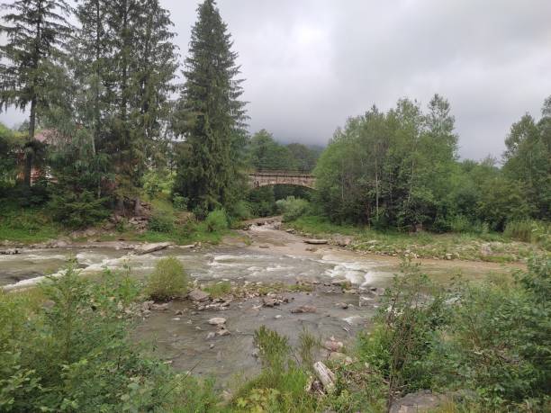 istock Carpathian mountains in summer, wonderful landscape 1588992339