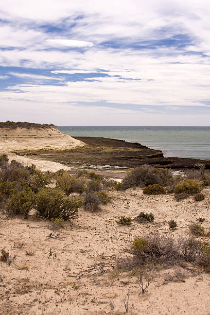 istock Coast of 