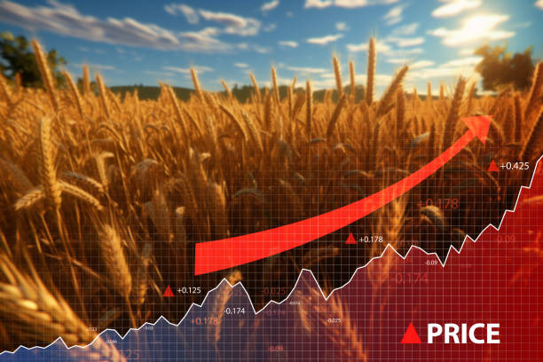 istock Crisis and increase in wheat cost with diagram going up 1589020349