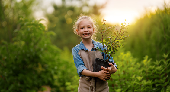 Elementary age Caucasian little girl is smiling and looking at the camera. She is holding a pepper plant, and learning about plant life during science class. Students are working in school garden, and are wearing private school uniforms.