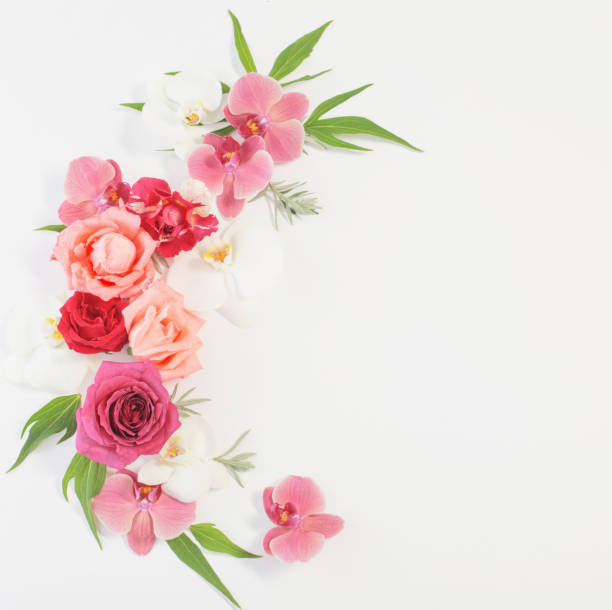 istock pattern of summer flowers on white background 1589057717