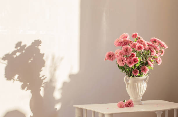 istock pink chrysanthemums in white vase on white interior 1589057730