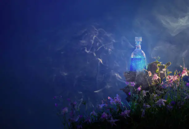 bottle of magic potions in  magical forest