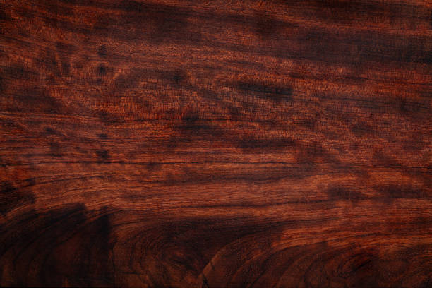 Beautiful wood grain. Wood background. Wood grain pattern texture background