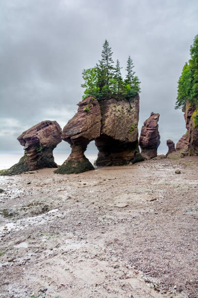 istock Bay of Fundy 1589089553