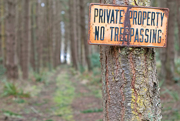 Private Property sign attached to spruce tree at head of dirt road leading through woods to ramshackle cabin